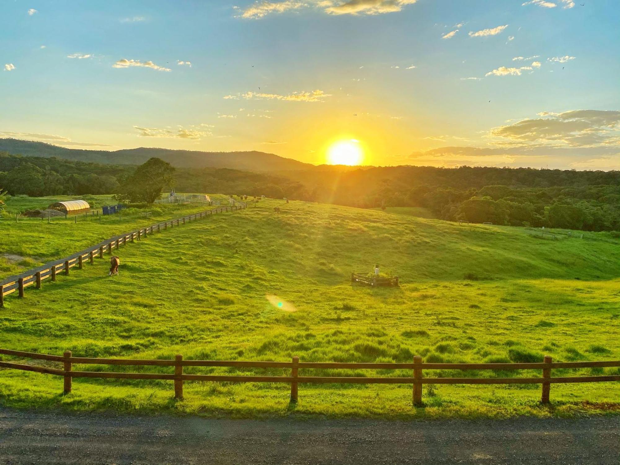 Kur-Cow Farm Escape 35 Minutes From Cairns Hotel Kuranda Exterior foto